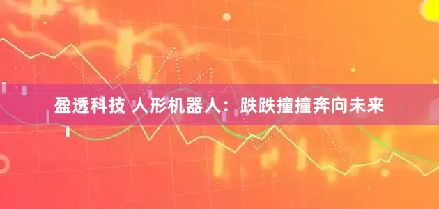 盈透科技 人形机器人：跌跌撞撞奔向未来