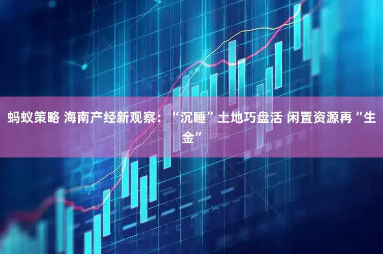 蚂蚁策略 海南产经新观察：“沉睡”土地巧盘活 闲置资源再“生金”